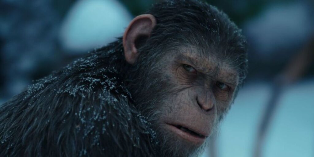 Dawn of the Planet of the Apes از بهترین فیلم های اندی سرکیس