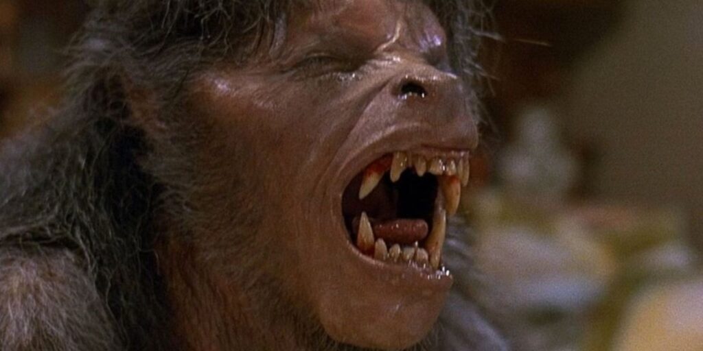 An American Werewolf in London از بهترین فیلم های سال 1981