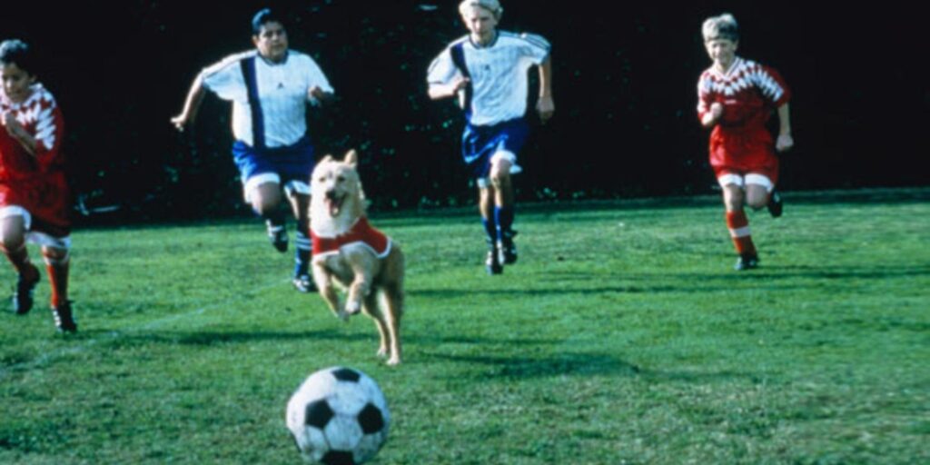 Soccer Dog: The Movie از بدترین فیلم های سال 1999