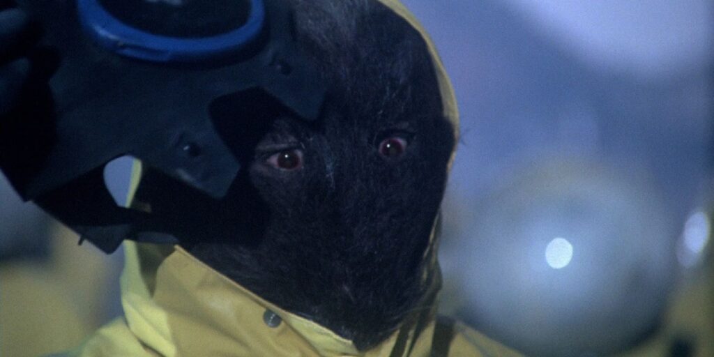 Rats: Night of Terror از بدترین فیلم های سال 1984