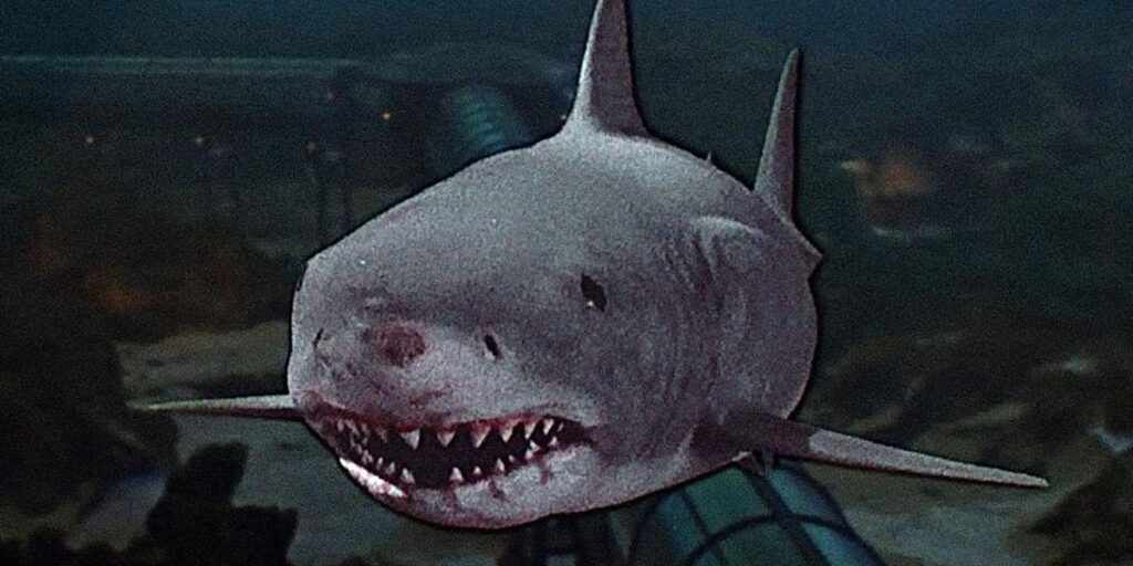 Jaws 3D از فیلم های آرواره ها